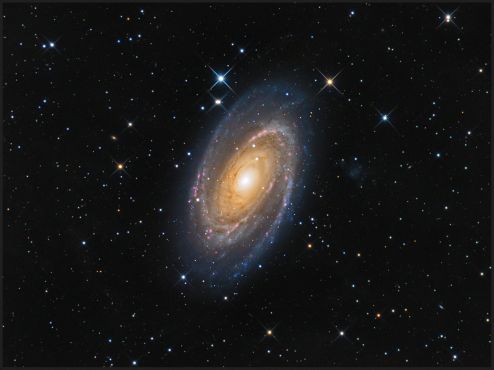 M 81