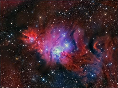 NGC 2264