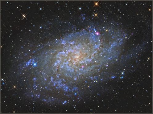 M33