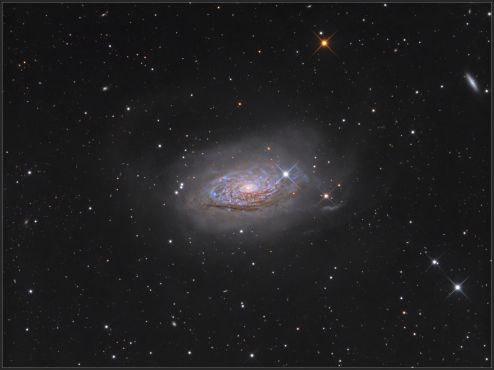 M63